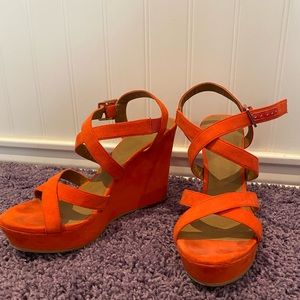 BP coral wedges